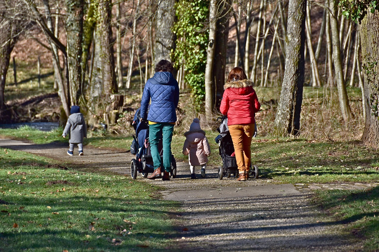 Wolff Child Psychology Early Childhood