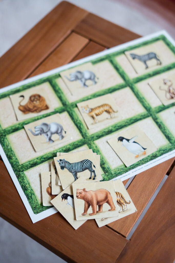 Wolff Child Psychology Neuropsychological Evaluation